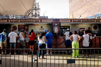 NYC SummerStage - GorillaFest - Coney Island Amphitheater - NYC