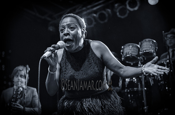 Sharon Jones & the Dap Kings - Afropunk Festival - Commodore Barry Park - BK USA - 2014