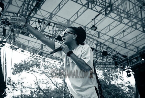 Apache Indian - Basement Bhangra 20th Anniversary - Central Park - NYC - 2017