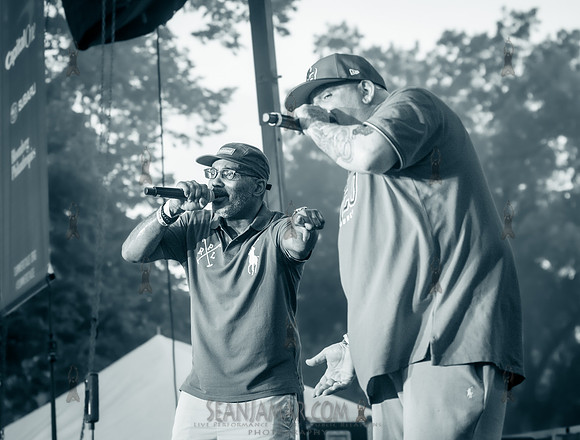 Large Professor - NYC SummerStage - Fat Beats 30th Anniversary -
