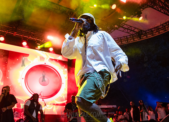 Morgan Heritage + Tarrus Riley - CPF SummerStage - VP Recprds 45
