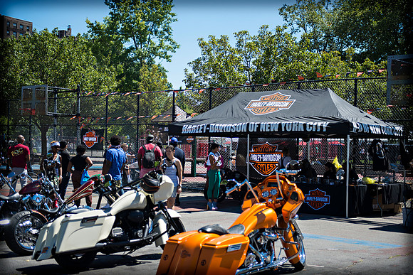 Afropunk Festival - Commodore Barry Park - BK USA - 2013