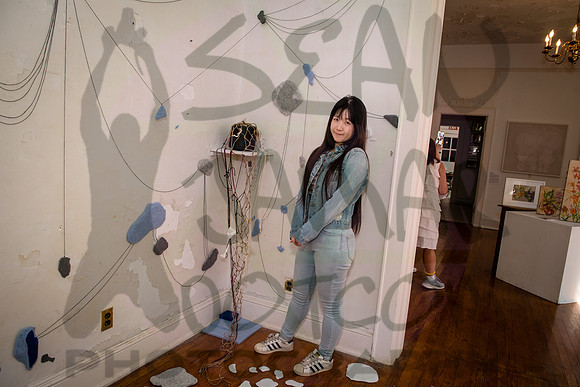 Taiwanese American Art Council - House Fest - Governors Island -