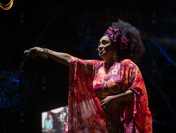 Aymee Nuviola - NYC SummerStage - Celia Cruz Celebration - Rumse