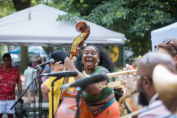 Endea Owens Community Cookout - Marcus Garvey Park - NYC - 2025