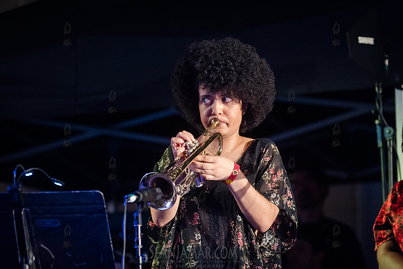 NYC SummerStage - Terri Lyne Carrington We Insist 2025! - Marcus