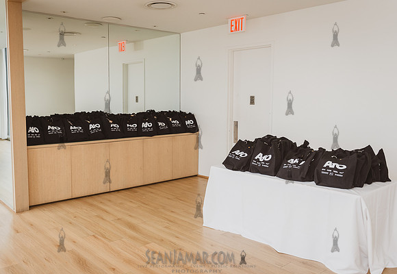 The AFO Group - US Launch Party - The Public - NYC - 2024