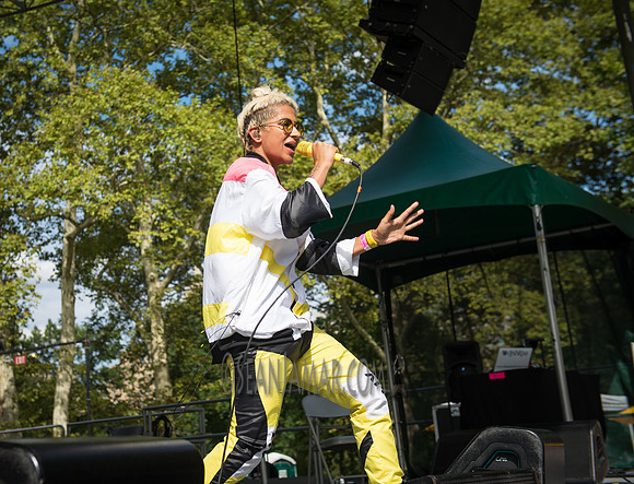 Madame Gandhi - Basement Bhangra 20th Anniversary - Central Park - NYC - 2017