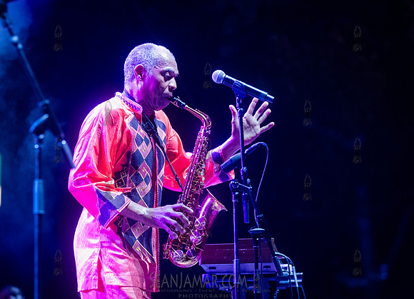 NYC SummerStage - Femi Kuti - Rumsey Playfield - NYC - 2025