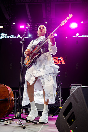 Aneesa Strings - CPF SummerStage - Yussef Dayes - Rumsey Playfie