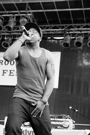 Brooklyn Hip Hop Festival 2012 f/ Busta Rhymes & friends