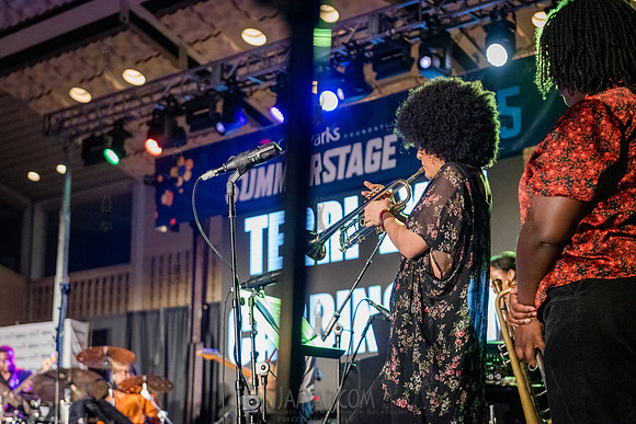 NYC SummerStage - Terri Lyne Carrington We Insist 2025! - Marcus