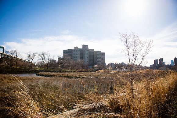 Adventure Day - Randalls Island -  NYC - 2017