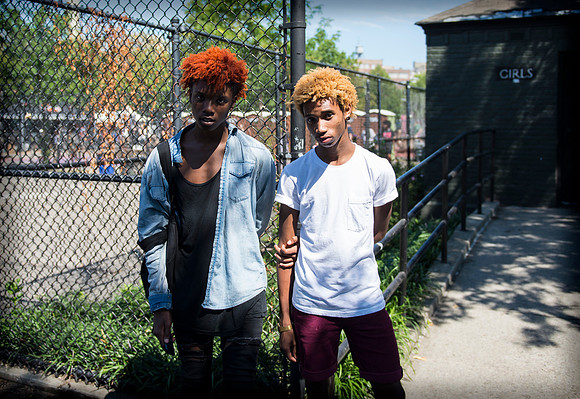 Afropunk Festival - Commodore Barry Park - BK USA - 2013