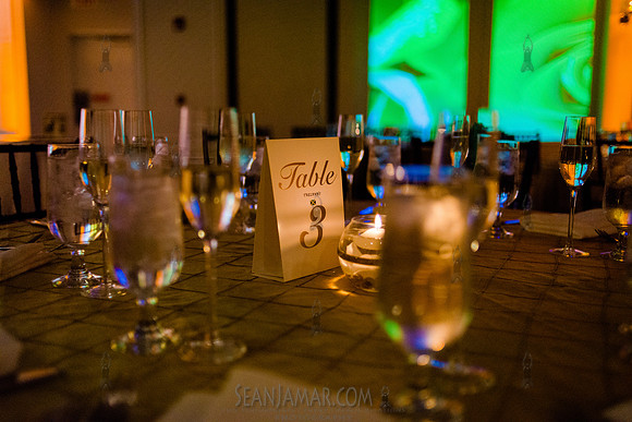 50th Wedding Anniversary - Radison Hotel - New Rochelle - 2018