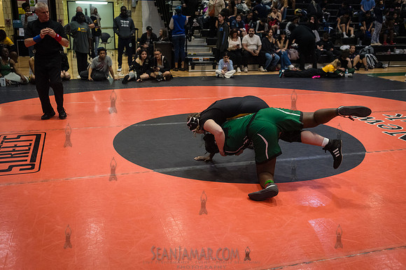 PSAL Girls Individual Championships - Harry S Truman HS - NYC -