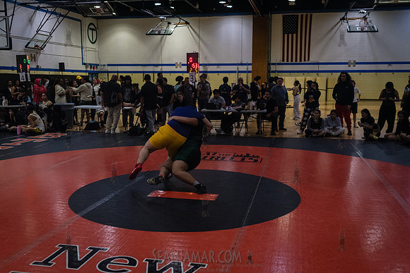 PSAL Girls Individual Championships - Harry S Truman HS - NYC -