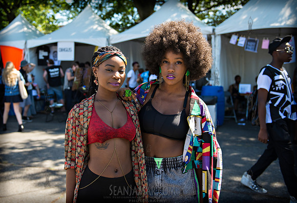 Afropunk Festival - Commodore Barry Park - BK USA - 2013