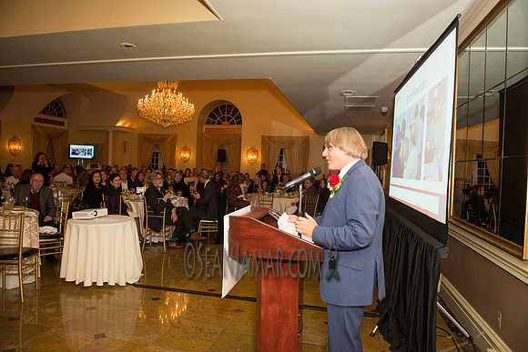 Bergen Volunteer Center - Hearts of Gold Dinner and Auction - The Stony Hill Inn - Hackensack NJ - 2017