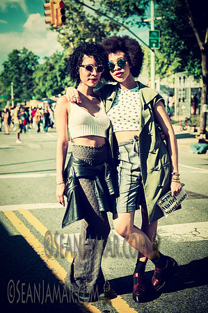 Afropunk Festival - Commodore Barry Park - BK USA - 2014