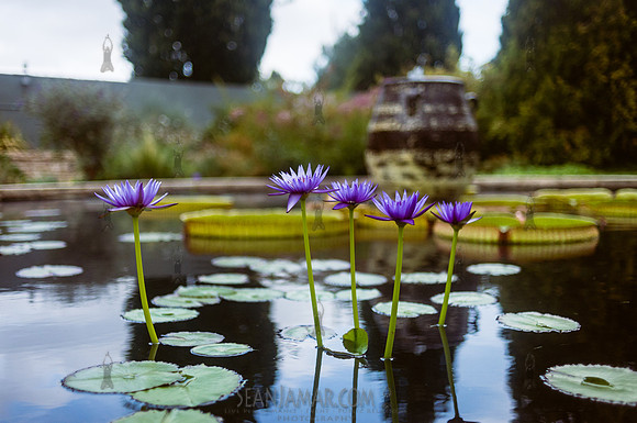 Adventure Day Colorado - Denver Botanical Garden - Denver Co - 2018