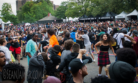 Afropunk Festival - Commodore Barry Park - BK USA - 2014