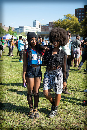 Afropunk Festival - Commodore Barry Park - BK USA - 2013