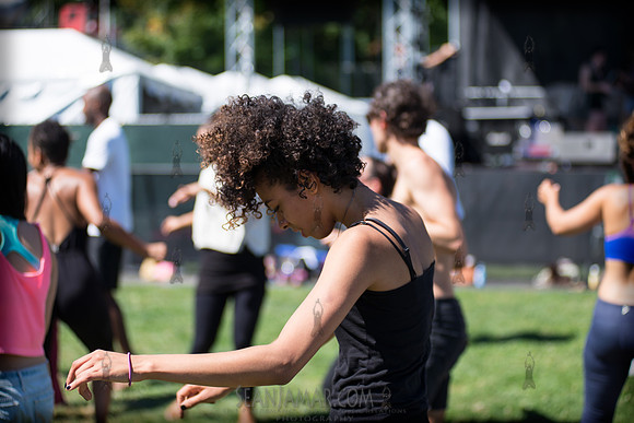 Afropunk Festival - Commodore Barry Park - BK USA - 2013