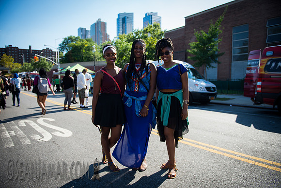 Afropunk Festival - Commodore Barry Park - BK USA - 2014