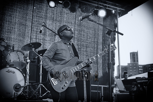 Meshell Ndegeocello - Afropunk Festival - Commodore Barry Park - BK USA - 2014