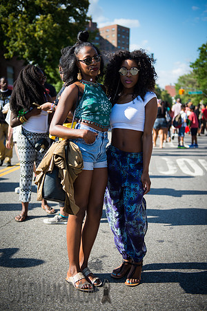 Afropunk Festival - Commodore Barry Park - BK USA - 2014
