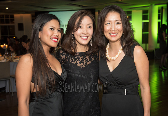 Zimele USA 6th Annual Gala - Maritime Parc - Jersey City NJ - 2017