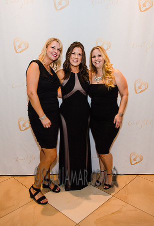 Heart of Gold Gala - The Fiesta - Woodridge NJ - 2016