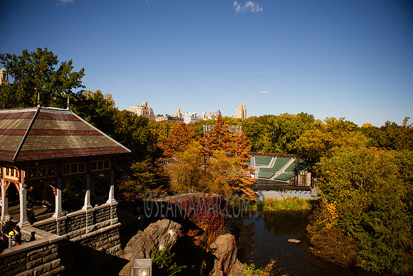 Adventure Day - Central Park - NYC - 2016