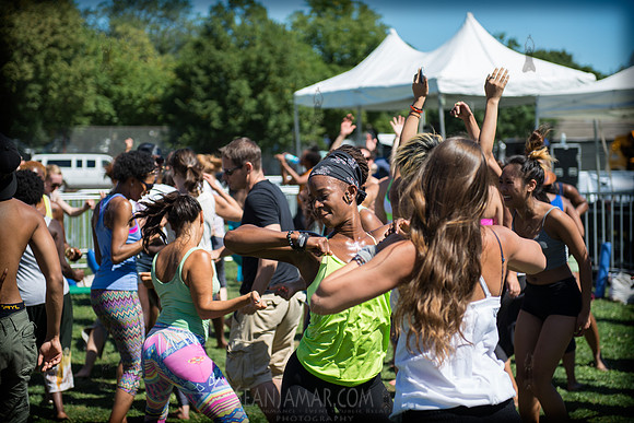 Afropunk Festival - Commodore Barry Park - BK USA - 2013