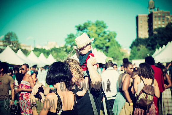 Afropunk Festival - Commodore Barry Park - BK USA - 2014