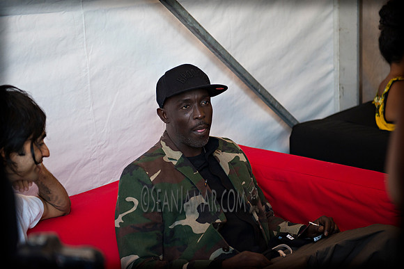Afropunk Festival - Commodore Barry Park - BK USA - 2013